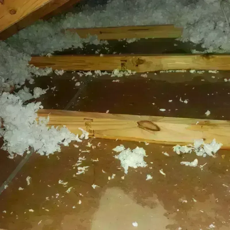 Attic Water Damage in Piney Point Village, TX